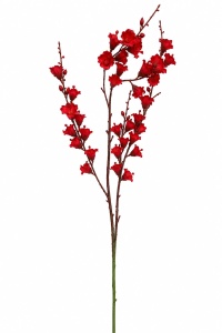 Lacramioare rosii LM-259