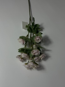 Minirose roz