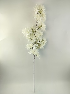 Orhidee Alba Cymbidium