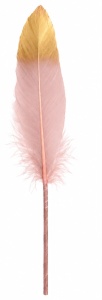Pene roz cu auriu set 100 buc