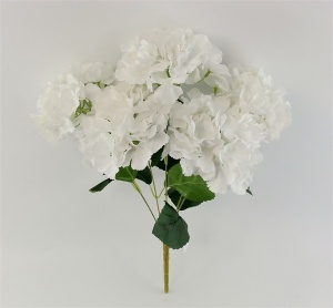 Buchet hortensie alba