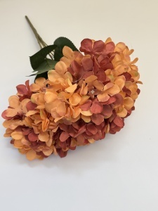 Buchet hortensie caramizie