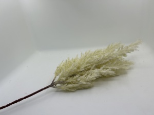 Crengute pampas artificial - 70cm - Alb
