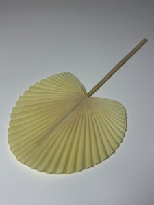 Frunza plina silicon - crem