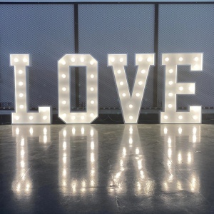 Litere volumetrice luminoase LOVE