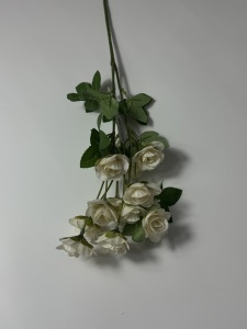 Minirose crem