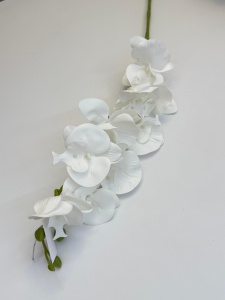 Orhidee Pure White