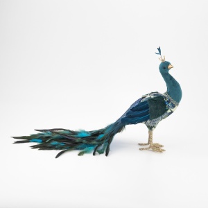 Paunita Blue