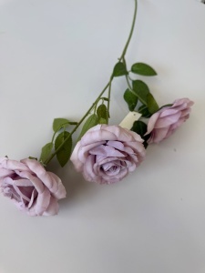 Trandafir pastel mov prafuit