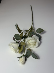 Trandafir pastel