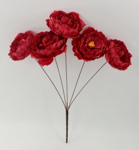 Buchet bujori rosii