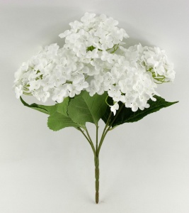 Buchet hortensie alba