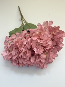 Buchet hortensie roz ciocolatie
