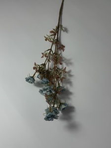 Crenguta cu minirose blue