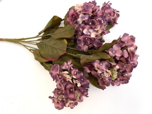 Hortensie marunta cu bobite - mov