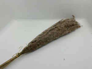 Pampas natural - 50cm