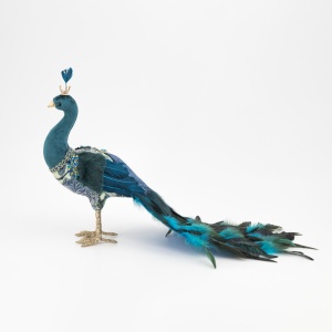 Paunita Blue