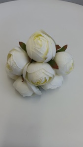 Ranunculus degrade manunchi
