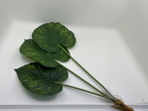 Buchet cu 3 frunze monstera - frunza plina