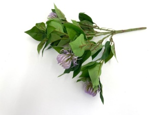 Buchet frunze - clesti mov
