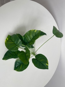 Buchet frunze Monstera - simple