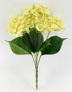 Buchet hortensie galbena - GREEN