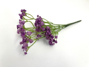 Gypsophila - mov