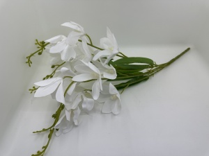 Magnolie Alba - crenguta cu 5 fire X1