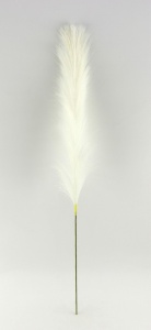 Pampas crem