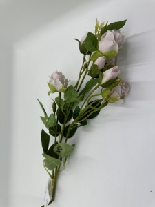 Trandafir pastel roz prafuit