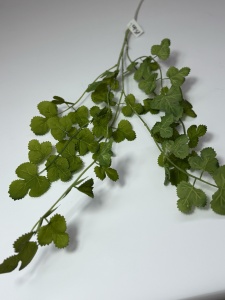 Frunze decorative - Verde