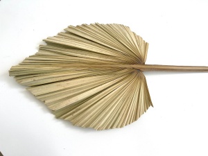 Frunze uscate - 60cm