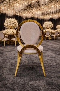 Scaun Prestige - Img 3