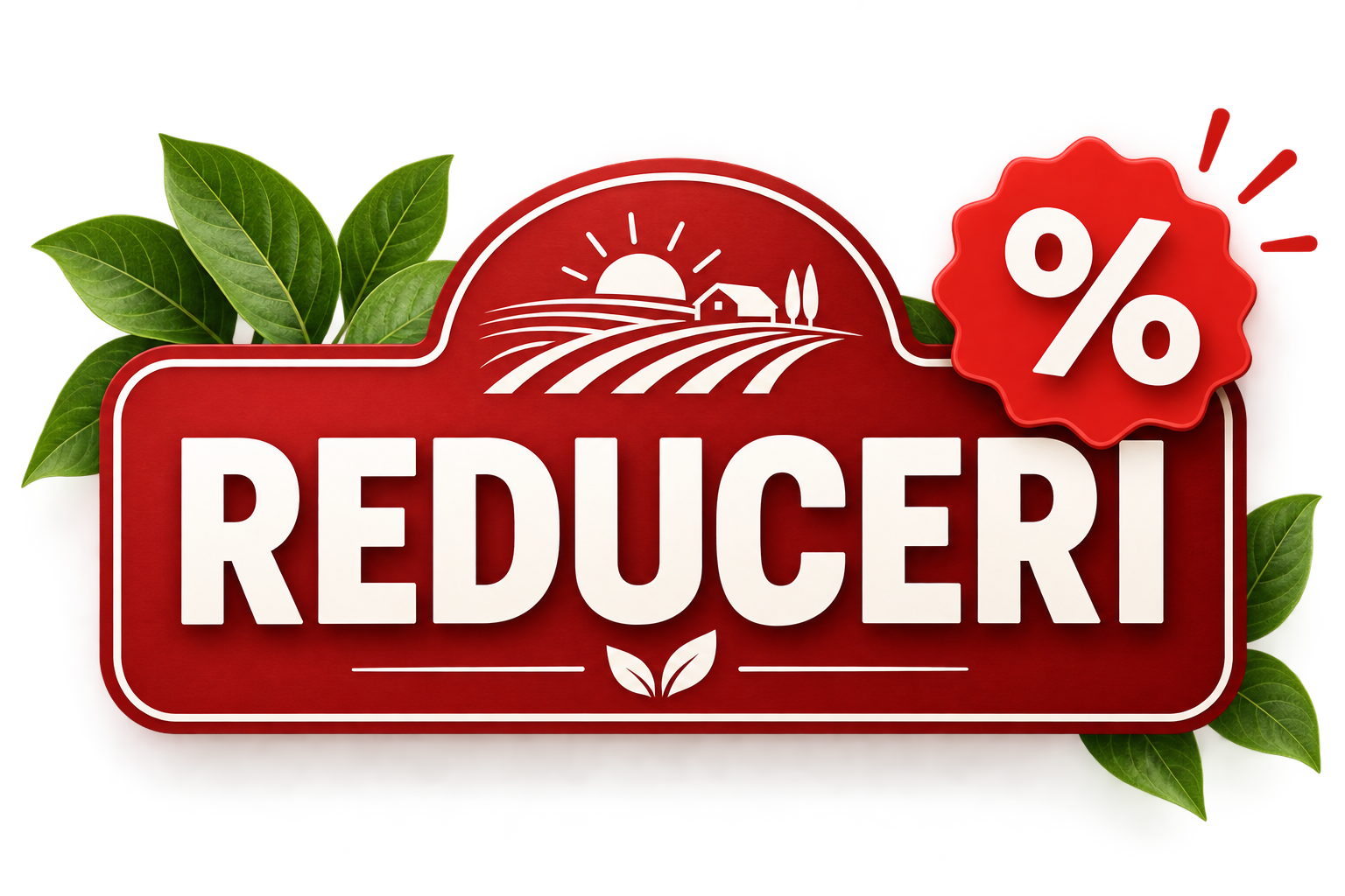 REDUCERI
