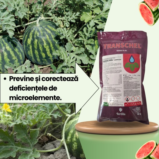 BIOPACK Stadiul 2 Pepeni - Dezvoltarea Frunzei - Img 2