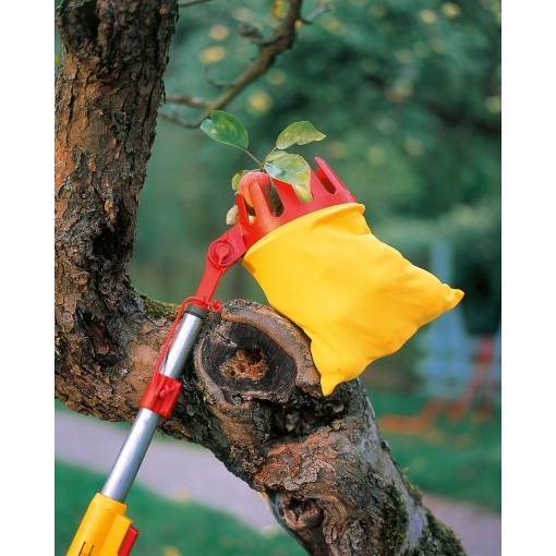 RG-M – FRUIT PICKER - Img 2