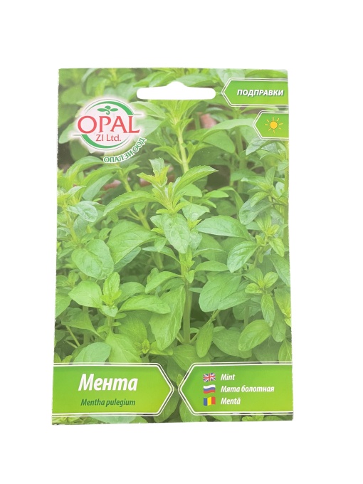 Seminte Menta - Soi Aromatic pentru Gradina, OPAL ZI