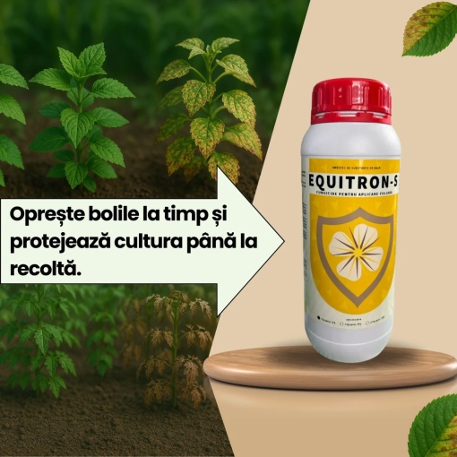 Pachet Fungicid BIO Coperlene + Equitron-S - Img 3