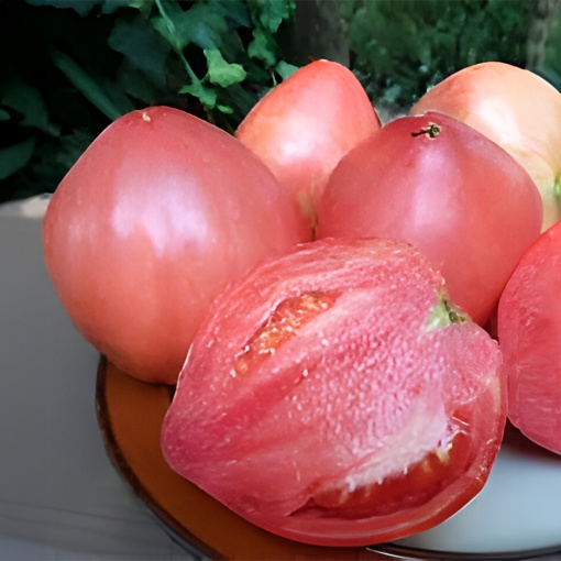 Seminte TOMATE INIMA DE BIVOL GIGANT - Cultiva gust in gradina ta 0.2g - Img 3