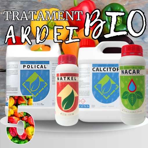 BIOPACK Stadiu 5 ARDEI – Coacere Accelerata si Gust Intens