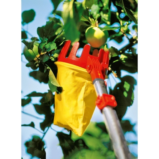 RG-M – FRUIT PICKER - Img 3