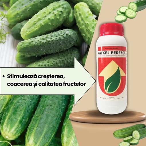 BIOPACK Stadiu 6 CASTRAVETI – Dimensiune, Culoare si Fortifiere - Img 3