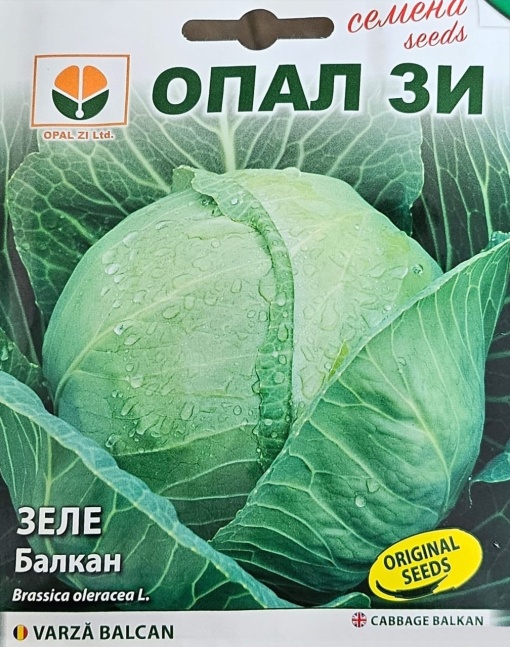 Seminte de VARZA BALCAN, soi pentru productie tarzie