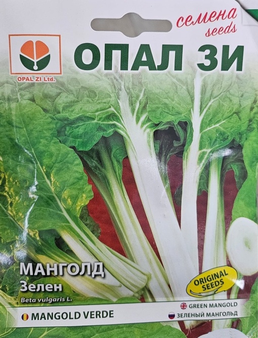 Seminte MANGOLD VERDE, substiut excelent pentru spanac