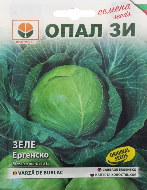Seminte Varza de Burlac Ergensko – Crestere Viguroasa