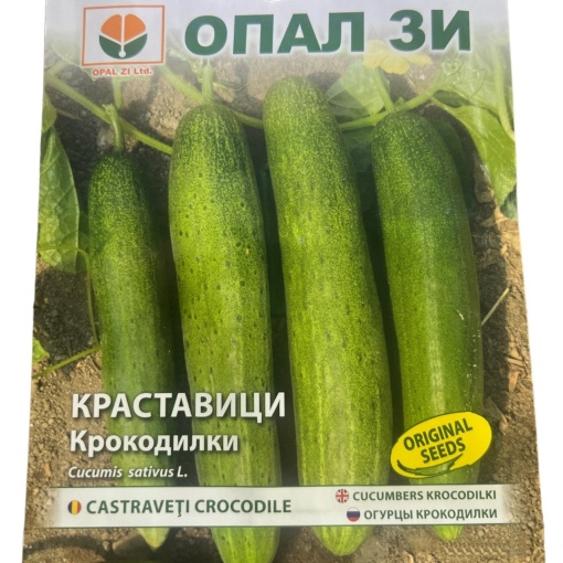 Seminte de Castraveti CROCODILE, soi cu randament ridicat