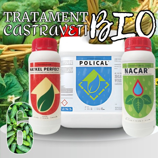 BIOPACK Stadiu 6 CASTRAVETI – Dimensiune, Culoare si Fortifiere