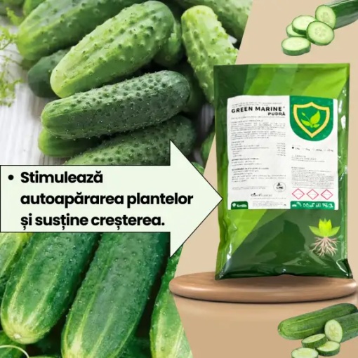 BIOPACK Stadiu 3 CASTRAVETI – Inflorire si Crestere Fruct - Img 2