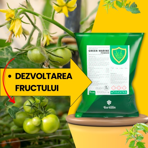BIOPACK Stadiu 3 TOMATE - Fixarea Fructului si Dezvoltarea Incipienta - Img 3