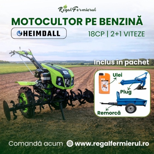 Pachet Motocultor Land Master 18 CP Benzina , Remorca 600 kg , Plug si Ulei - Img 2